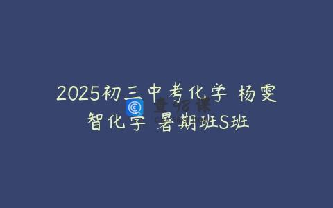 2025初三中考化学 杨雯智化学 暑期班S班