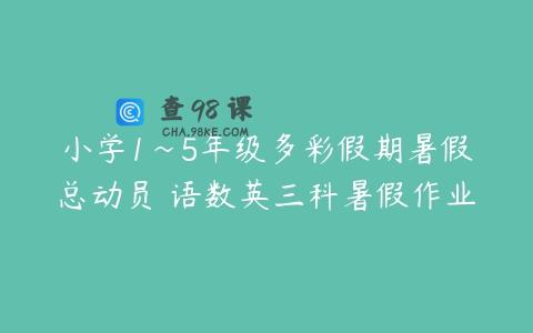 小学1~5年级多彩假期暑假总动员 语数英三科暑假作业