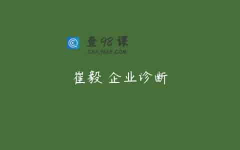 崔毅 企业诊断