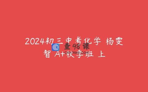 2024初三中考化学 杨雯智 A+秋季班 上