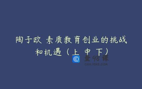 陶子欧 素质教育创业的挑战和机遇（上 中 下）
