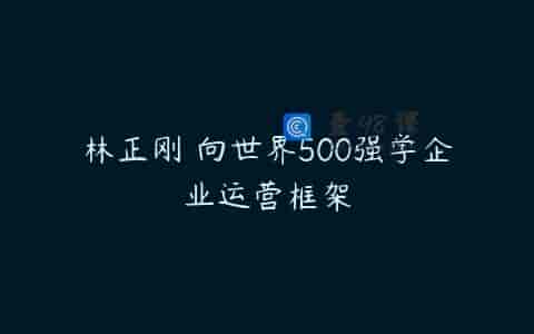 林正刚 向世界500强学企业运营框架