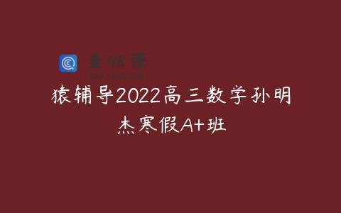 猿辅导2022高三数学孙明杰寒假A+班