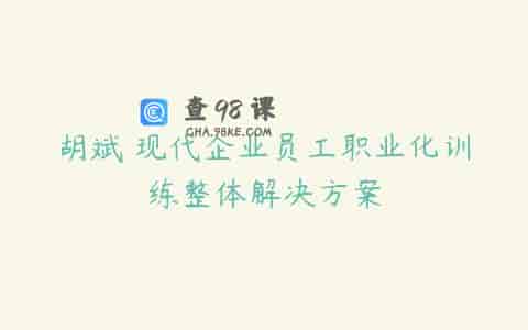 胡斌 现代企业员工职业化训练整体解决方案