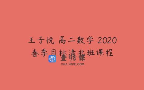 王子悦 高二数学 2020春季目标清北班课程