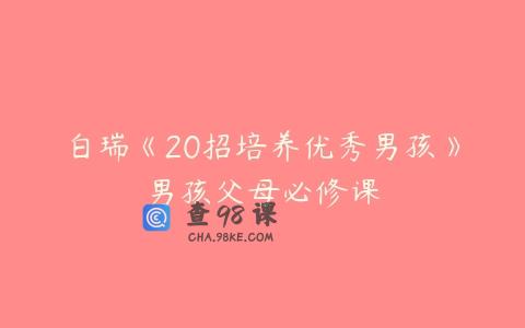 白瑞《20招培养优秀男孩》男孩父母必修课