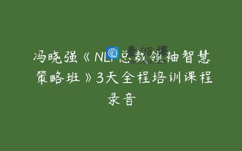 冯晓强《NLP总裁领袖智慧 策略班》3天全程培训课程录音