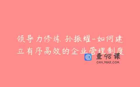 领导力修炼 孙振耀-如何建立有序高效的企业管理制度