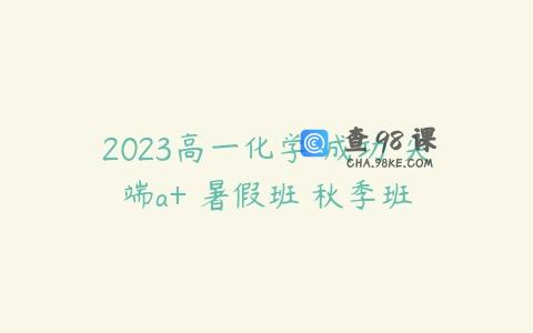 2023高一化学 成功 尖端a+ 暑假班 秋季班