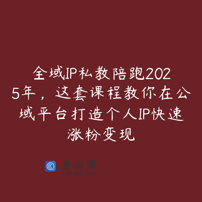 全域IP私教陪跑2025年，这套课程教你在公域平台打造个人IP快速涨粉变现