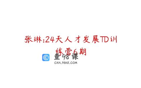 张琳:24天人才发展TD训练营6期