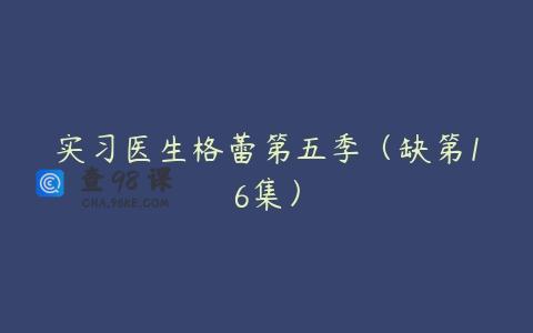 实习医生格蕾第五季（缺第16集）