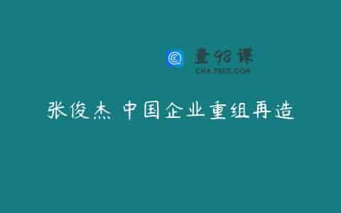 张俊杰 中国企业重组再造