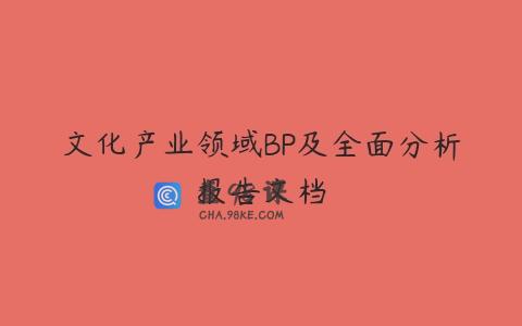 文化产业领域BP及全面分析报告文档