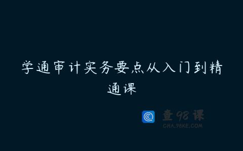 学通审计实务要点从入门到精通课