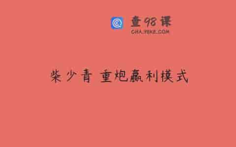 柴少青 重炮赢利模式
