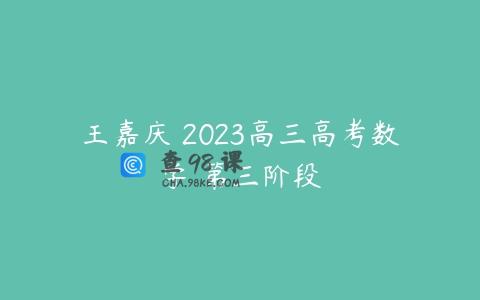 王嘉庆 2023高三高考数学 第三阶段