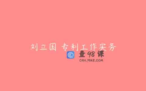 刘立国 专利工作实务