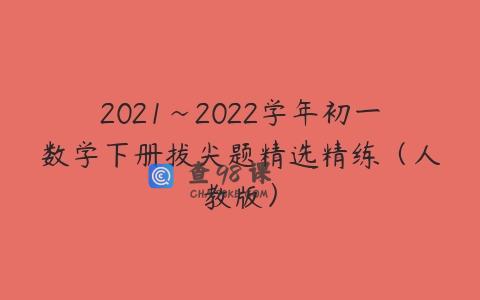 2021~2022学年初一数学下册拔尖题精选精练（人教版）