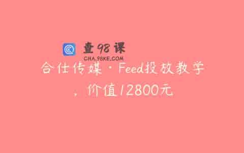 合仕传媒·Feed投放教学，价值12800元
