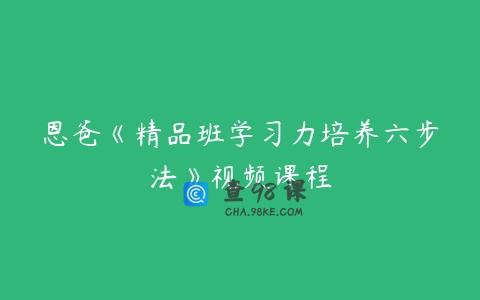 恩爸《精品班学习力培养六步法》视频课程