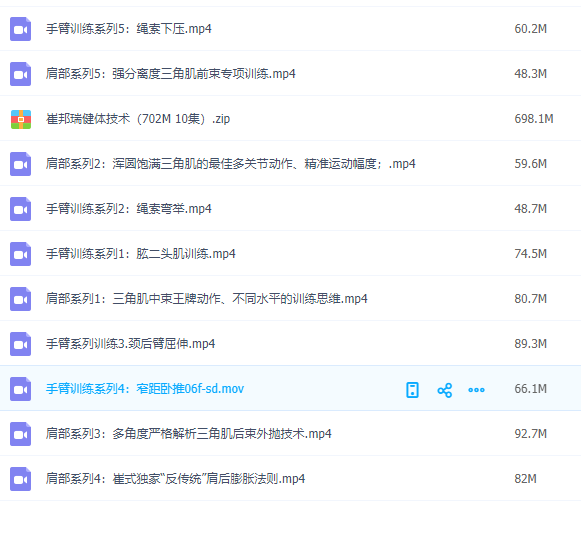 国外中字-崔邦瑞健体技术（10集）