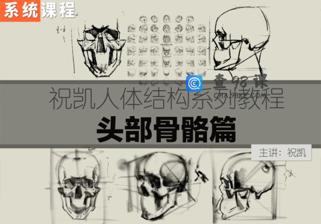 素描课程·硬性知识·头部骨骼