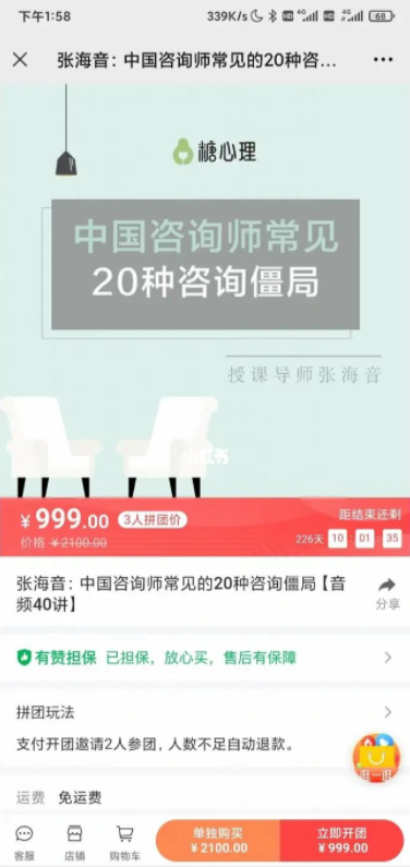 张海音 中国咨询师常见的20种咨询僵局 微课40讲录音+课件