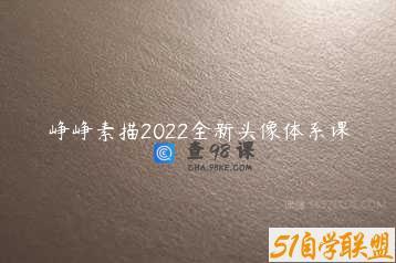 峥峥素描2022全新头像体系课