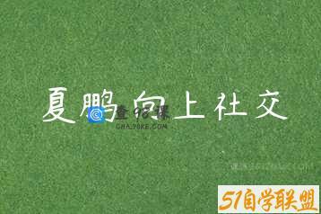 夏鹏 向上社交
