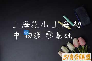 上海花儿 上海 初中 物理 零基础