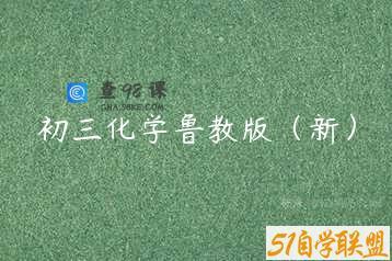 初三化学鲁教版（新）