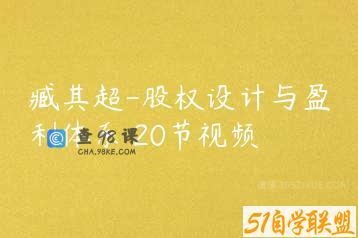 臧其超-股权设计与盈利体系 20节视频