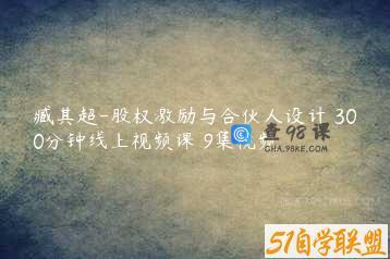 臧其超-股权激励与合伙人设计 300分钟线上视频课 9集视频