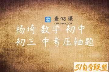 杨琦 数学 初中 初三 中考压轴题