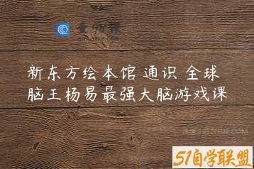 新东方绘本馆 通识 全球脑王杨易最强大脑游戏课