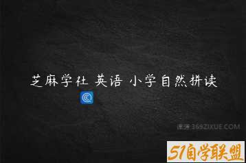 芝麻学社 英语 小学自然拼读