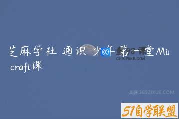 芝麻学社 通识 少年第一堂Minecraft课
