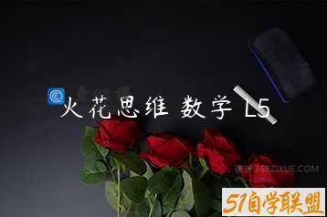 火花思维 数学 L5