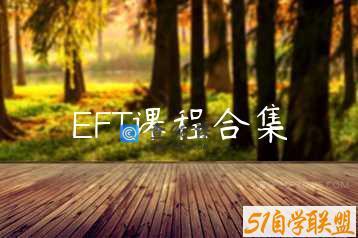 EFT课程合集