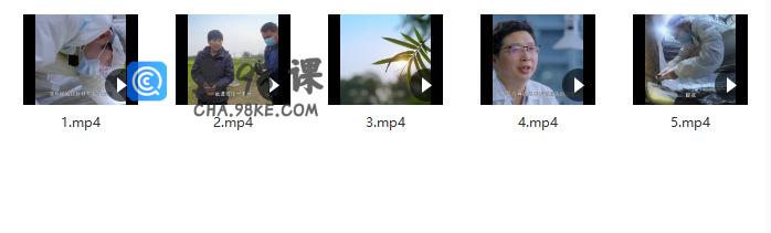 不止考古 我与三星堆