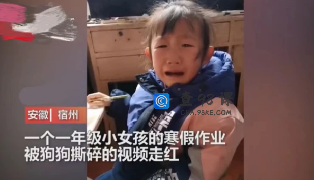 寒假作业被狗撕毁，女孩看后嚎啕大哭，追着狗子直跑