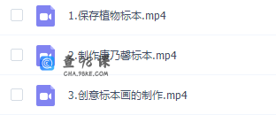 诸葛学堂-标本制作培养动手能力视频课程