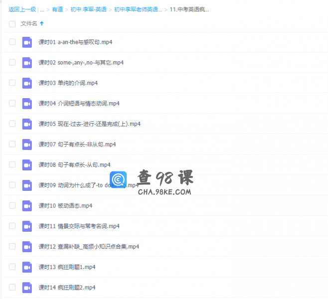 初中英语有道精品李军Viva中考英语疯狂刷题班视频课程完结