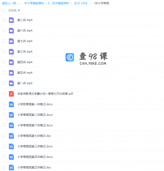 2019洪老师小学新语文学霸计划寒假七天训练营视频课程