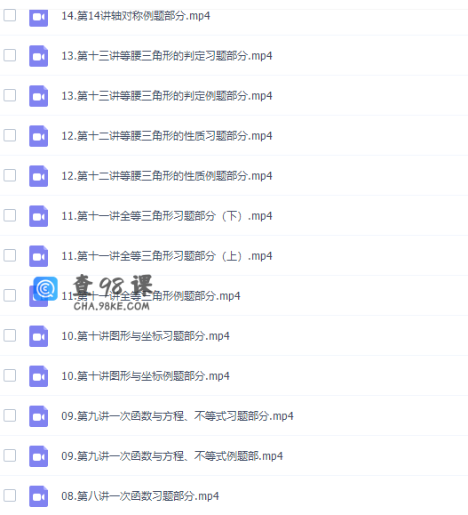 杨琦初二数学八年级数学新思维刷题课课程