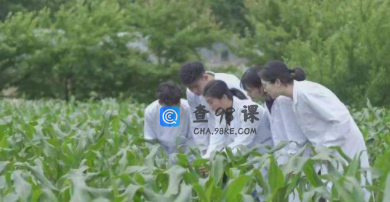 2022植物保护就业方向怎么样，主要课程有哪些？