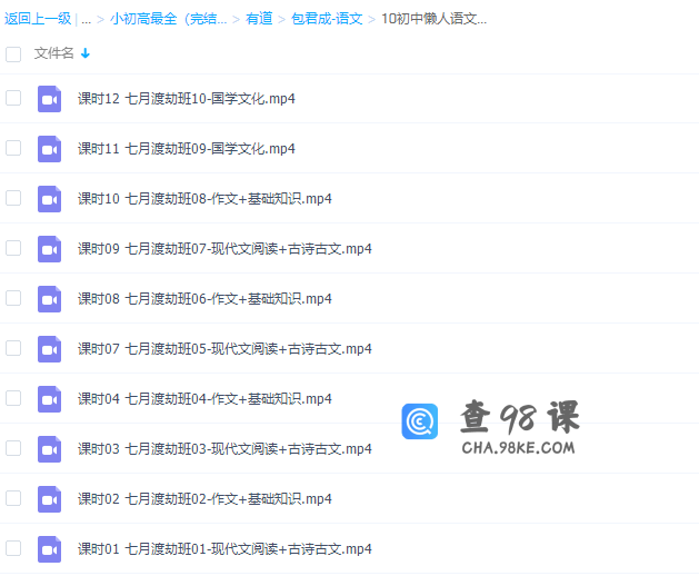 有道精品课中考语文包君成懒人语文七月渡劫班网课