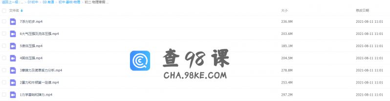 有道精品八年级物理课程寒假抢跑班（清华大学学士主讲）