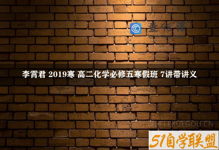 李霄君 2019寒 高二化学必修五寒假班 7讲带讲义